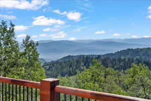Wood-finish railing with black metal balusters offering expansive mountain and forest scenery
