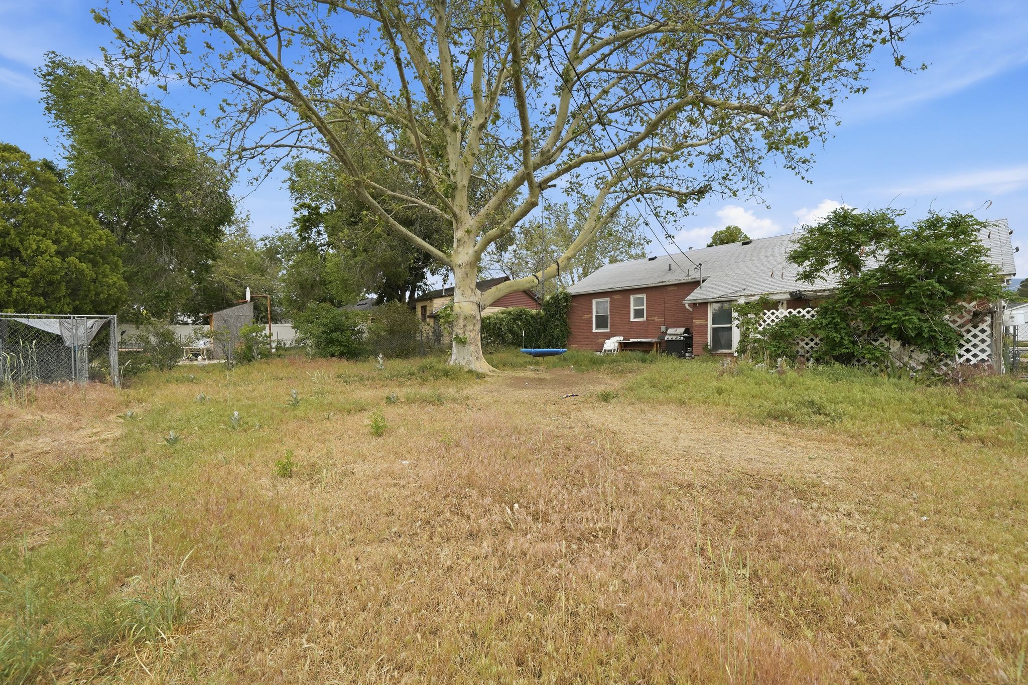 Expansive yard featuring a mature deciduous tree, a red brick exterior, and a white lattice trellis