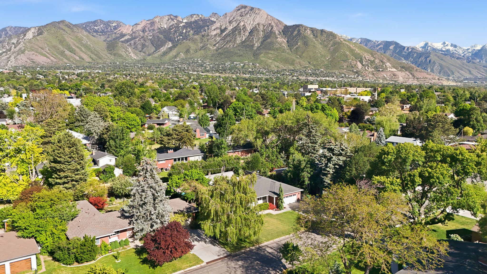 Expansive neighborhood showcasing mature trees and mountain scenery