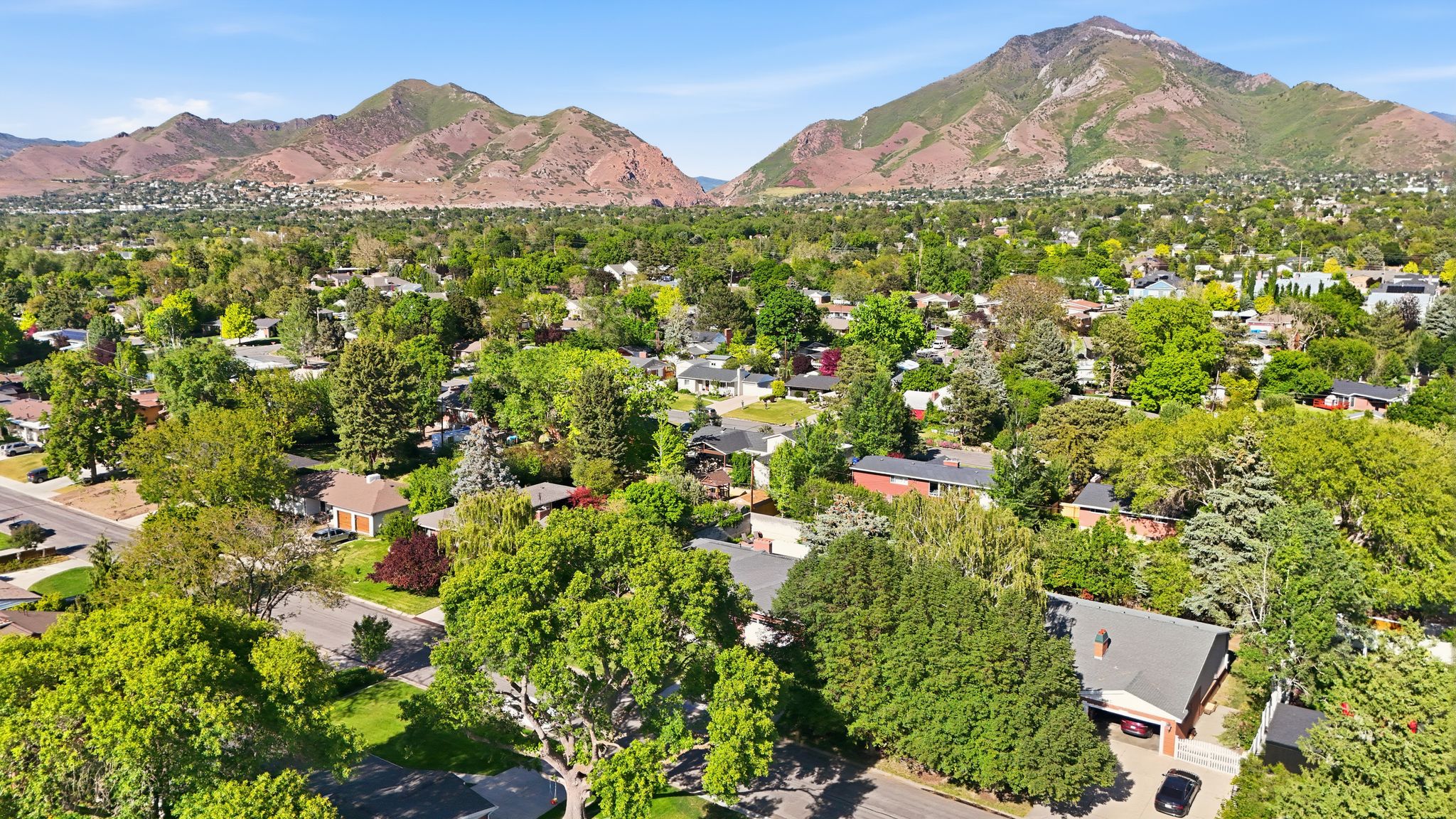 Residential neighborhood with mature trees and mountain backdrop