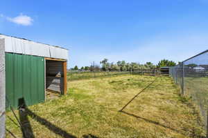 Expansive outdoor area featuring a green metal shed with a white metal roof, chain-link fencing, and a wooden fence at the property's rear