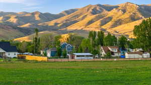 Expansive green field foregrounding a residential area with varied housing styles