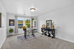 Spacious room featuring broad windows, light gray carpet, white walls, and a semi-flush mount ceiling light