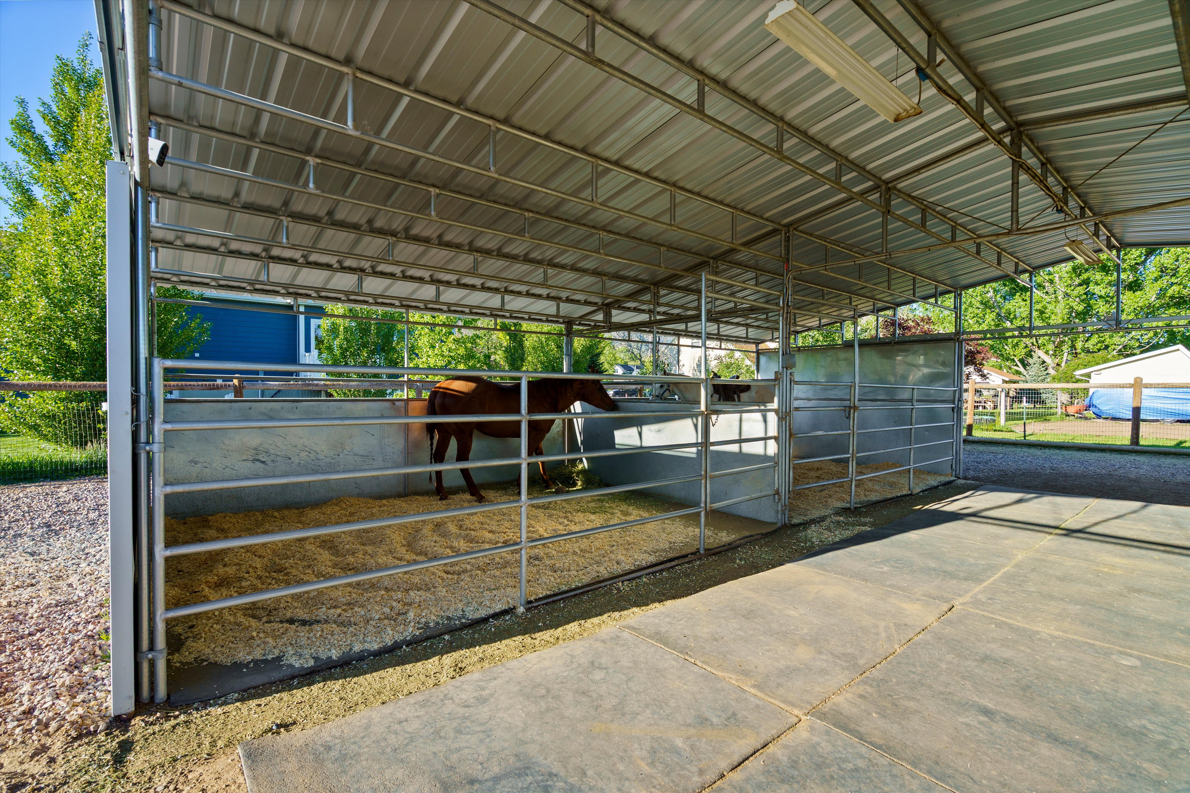 Metal-framed equestrian shelter featuring multiple partitioned stalls, a corrugated metal roof, and concrete flooring