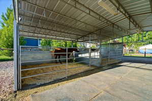 Metal-framed equestrian shelter featuring multiple partitioned stalls, a corrugated metal roof, and concrete flooring