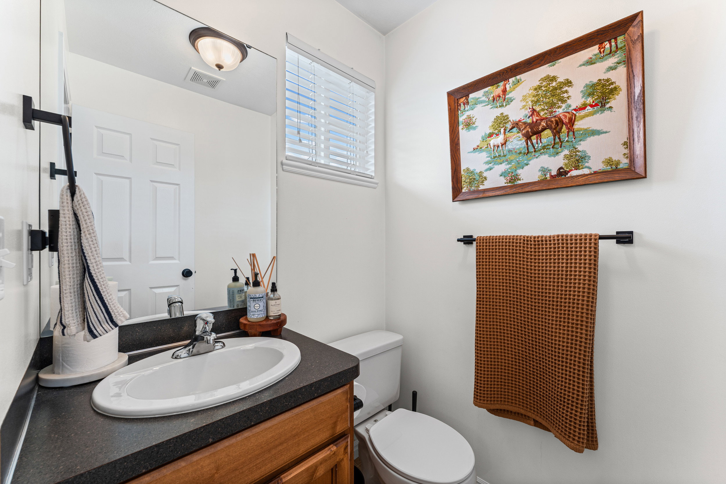 Bathroom featuring a wood-finish vanity with a dark countertop and a drop-in sink