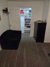 Built-in closet shelving providing ample storage, neutral tone carpeting, and white painted walls