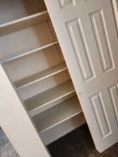 Built-in shelving unit featuring multiple adjustable shelves, a panel door, and dark carpeting