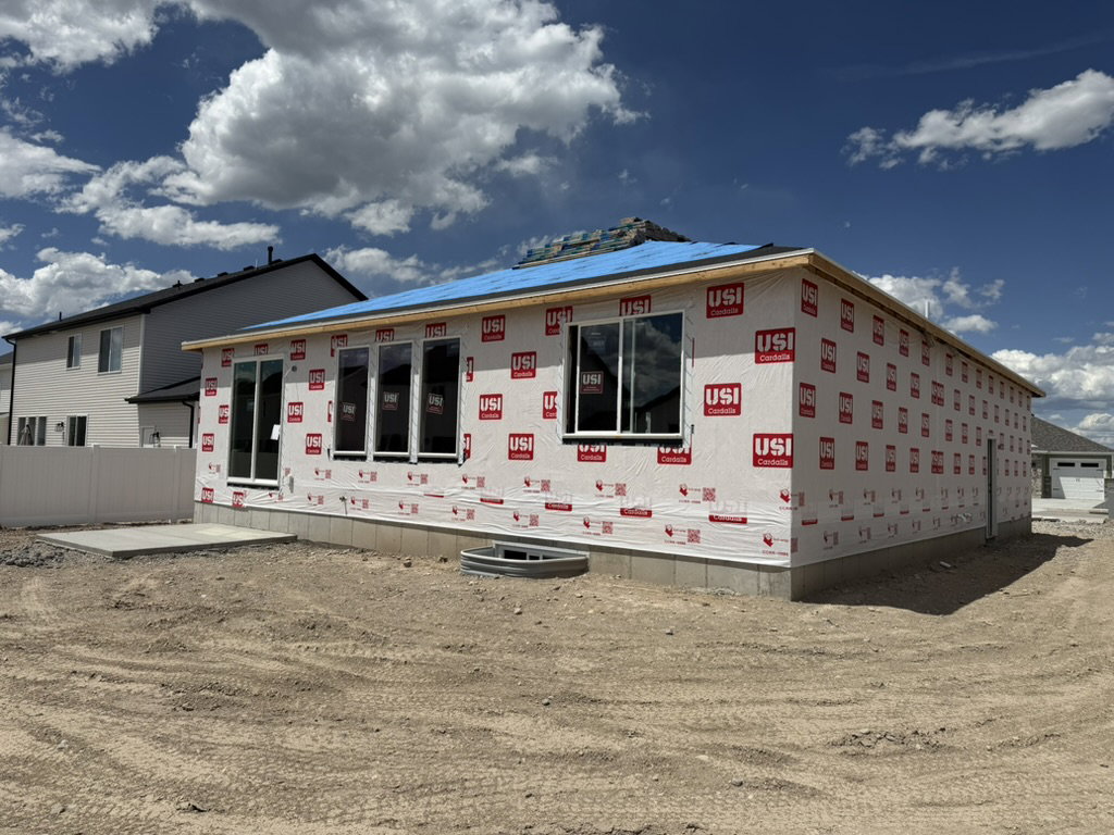 New construction home featuring a concrete patio, multiple large windows, and a partially installed roof