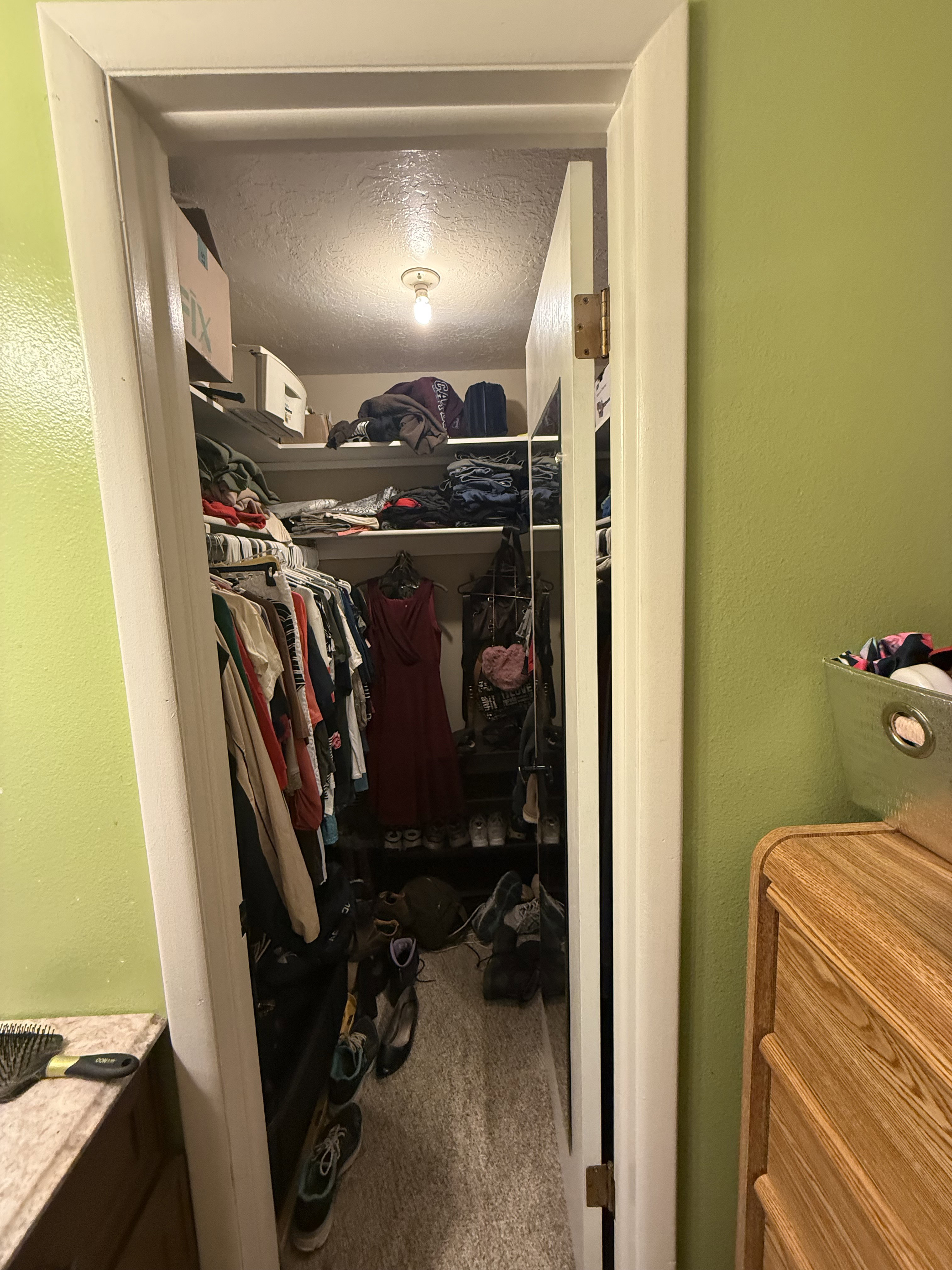 Walk-in closet featuring carpet flooring, built-in shelving, and a ceiling-mounted light fixture