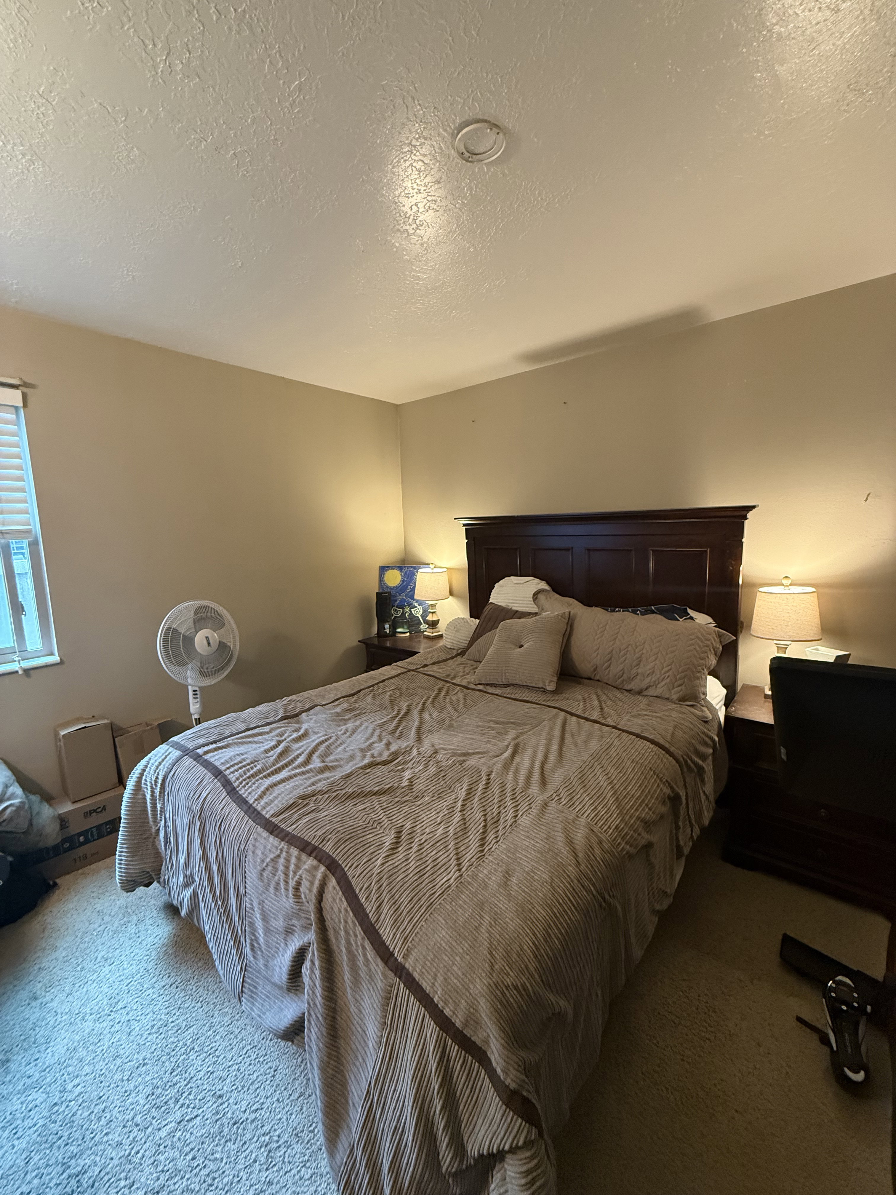 Carpeted bedroom featuring a window with blinds, a ceiling-mounted light fixture, and neutral-toned walls
