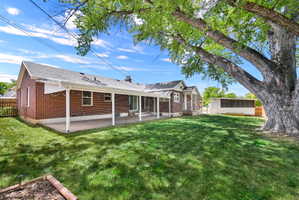 Spacious green lawn featuring a large mature tree, a full-length covered patio, and a separate outbuilding