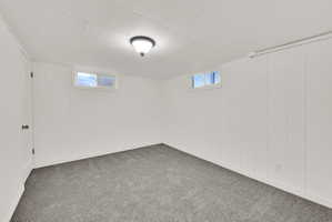 Room with white paneled walls, gray carpet, a white ceiling with a flush-mount light fixture, and two high-set windows