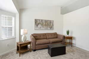 Bright interior space featuring light neutral wall paint, a window with horizontal blinds, textured carpeting, and a sloped ceiling