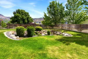 Expansive lawn featuring a decorative rock garden with mature shrubs