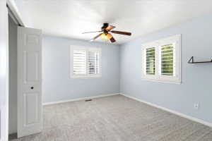 Interior room featuring light blue walls and plush carpet flooring
