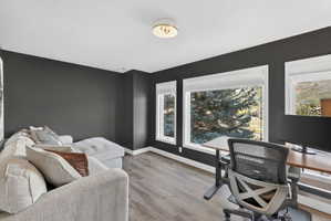 Spacious room featuring wood-finish flooring, dark accent walls, and white trim