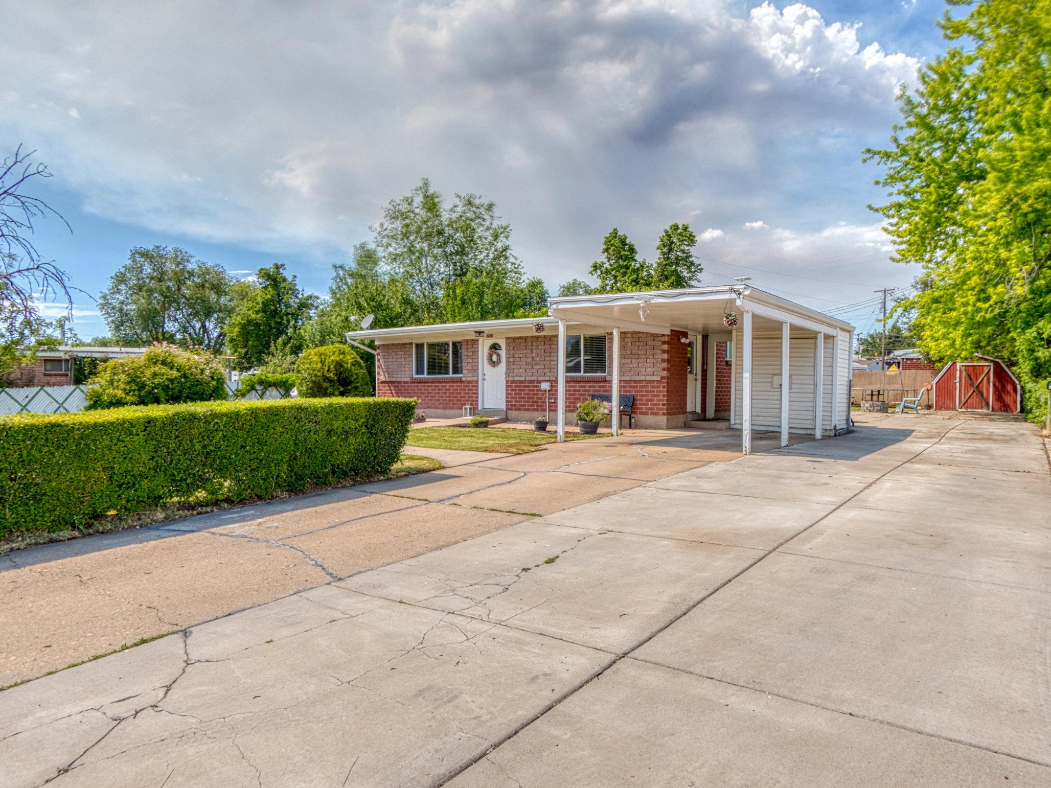 expansive concrete driveway, mature privacy hedge, and a red shed in the rear