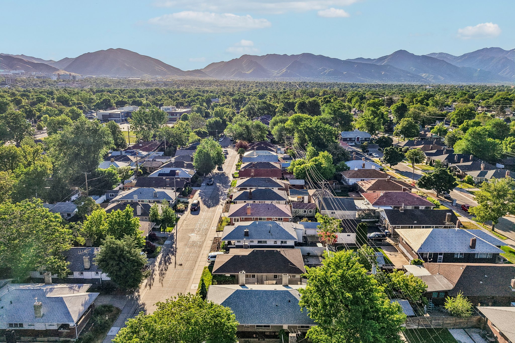 Residential neighborhood featuring mature tree-lined streets and mountain scenery