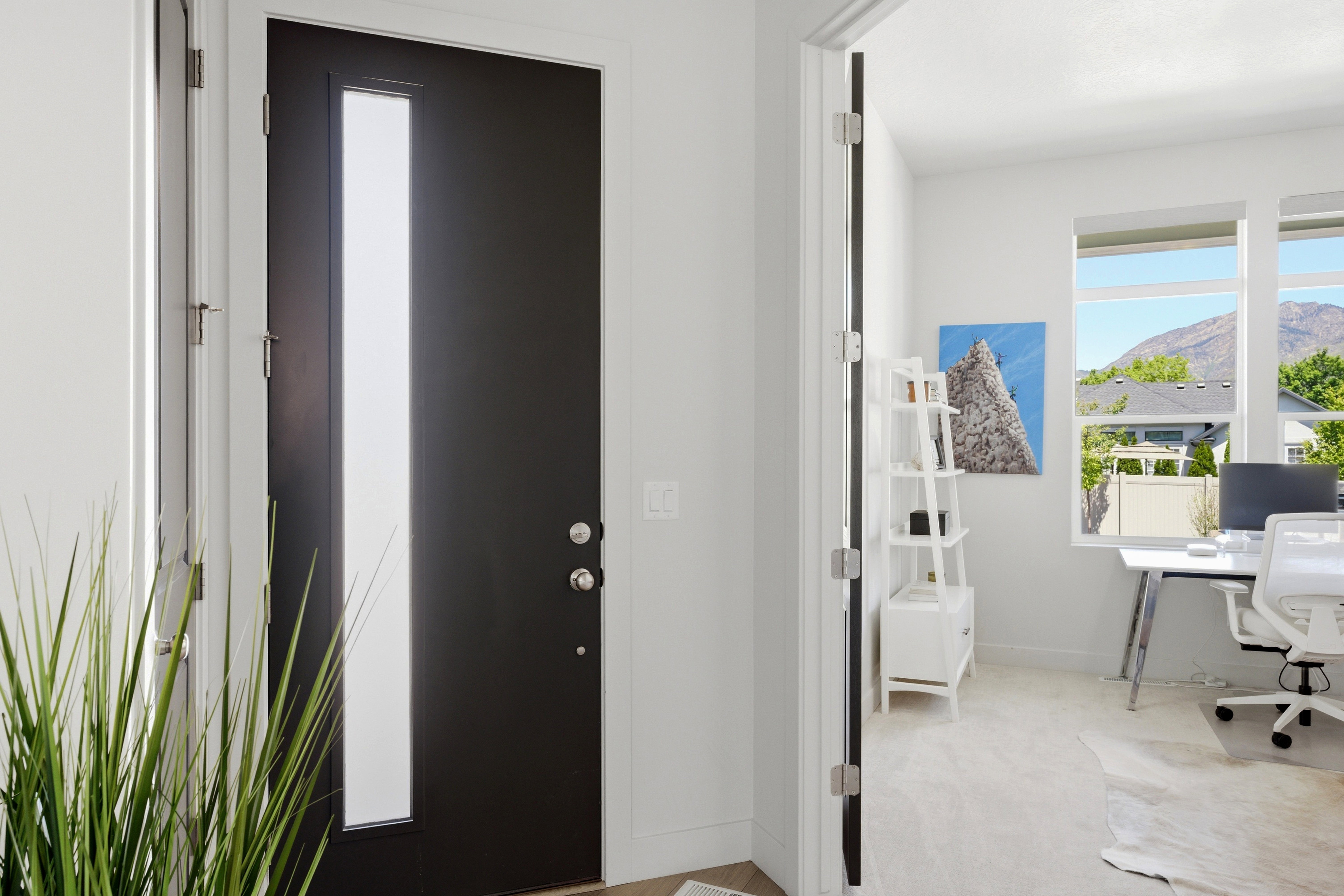 Modern entry door with vertical frosted glass panel