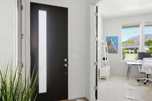 Modern entry door with vertical frosted glass panel