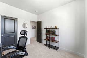 Carpeted room with light-colored walls and dark paneled doors