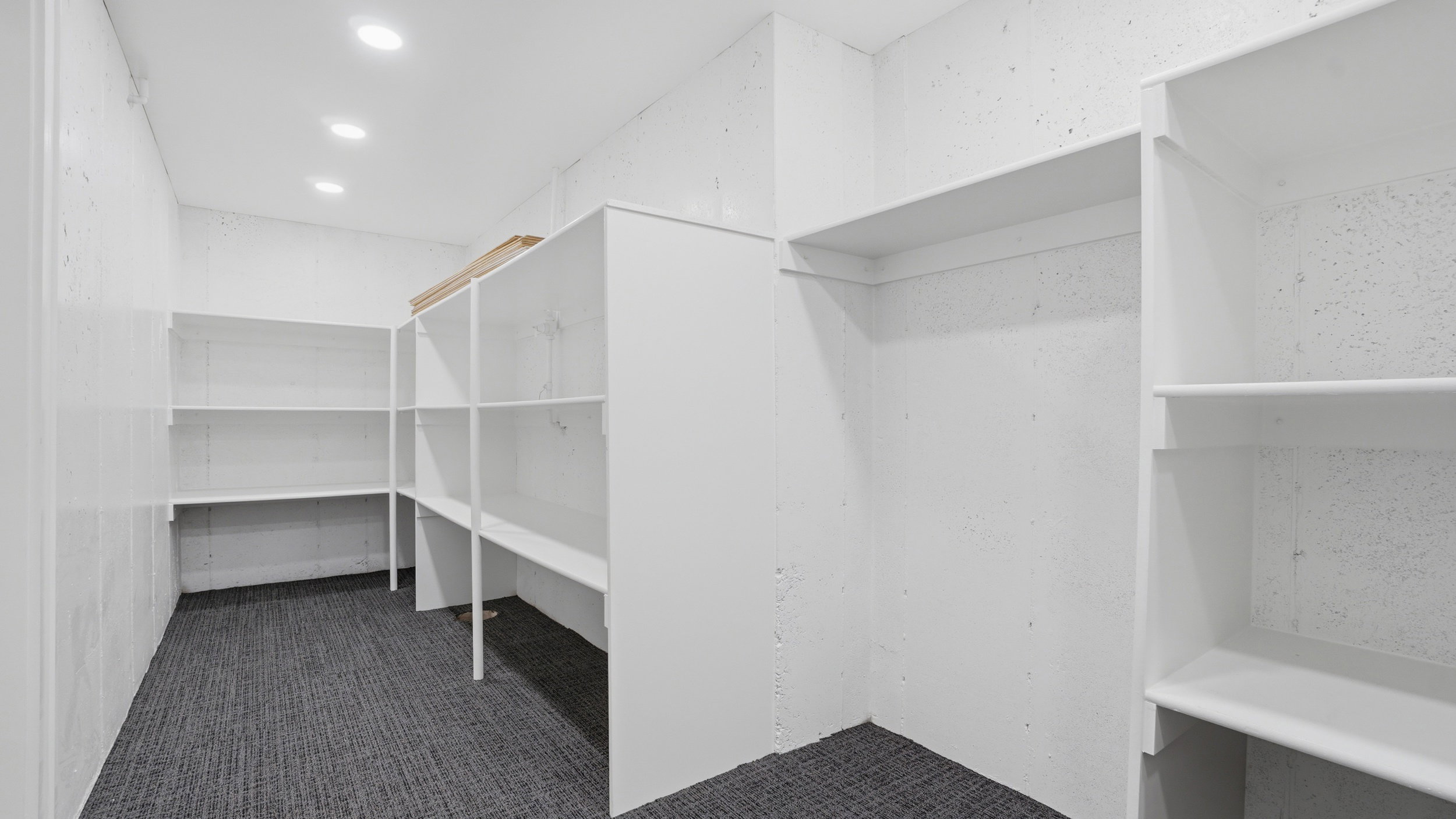 Spacious storage area featuring extensive built-in shelving, recessed lighting, and carpet flooring