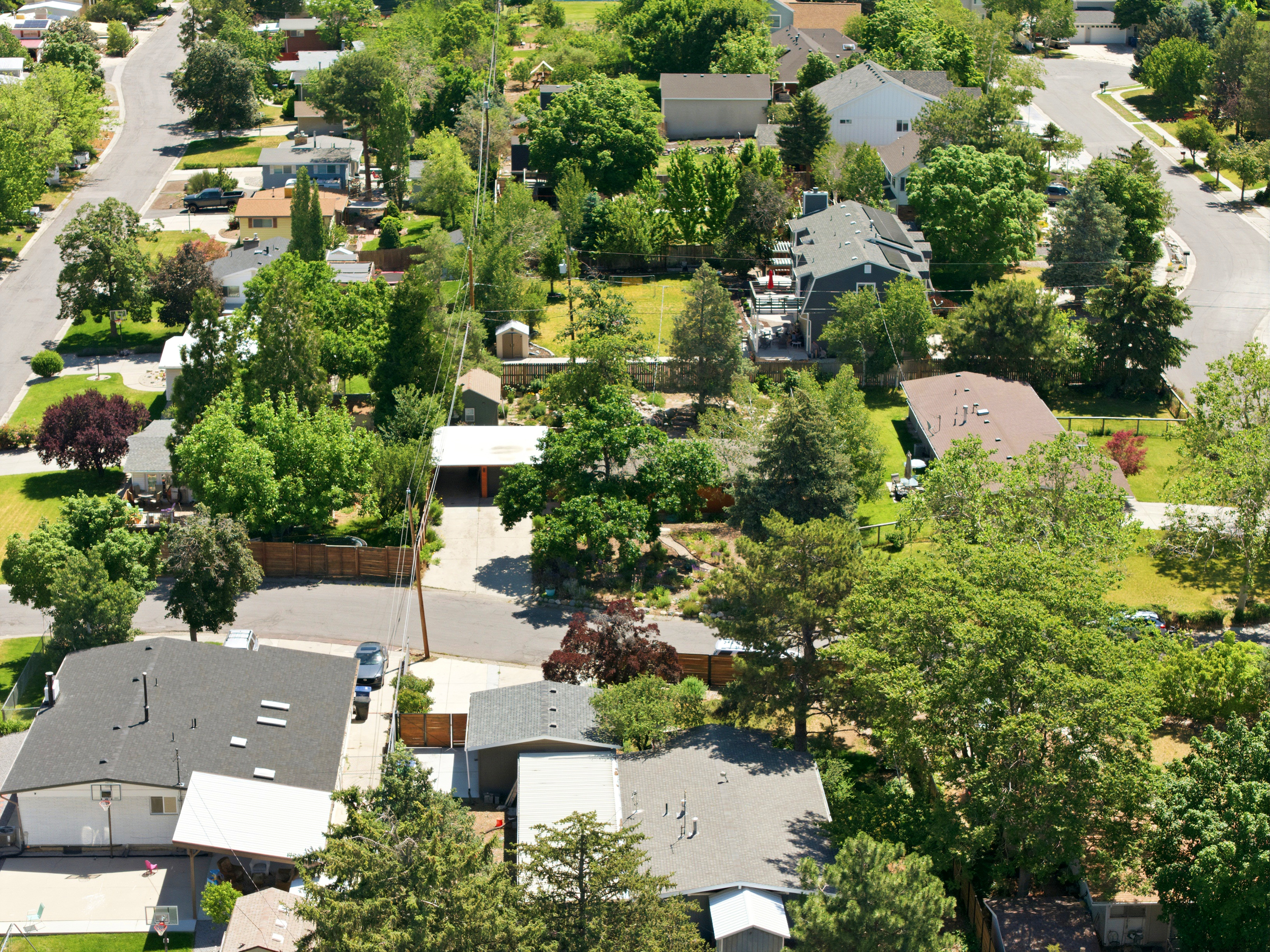 Residential neighborhood featuring varied architectural styles and mature landscaping