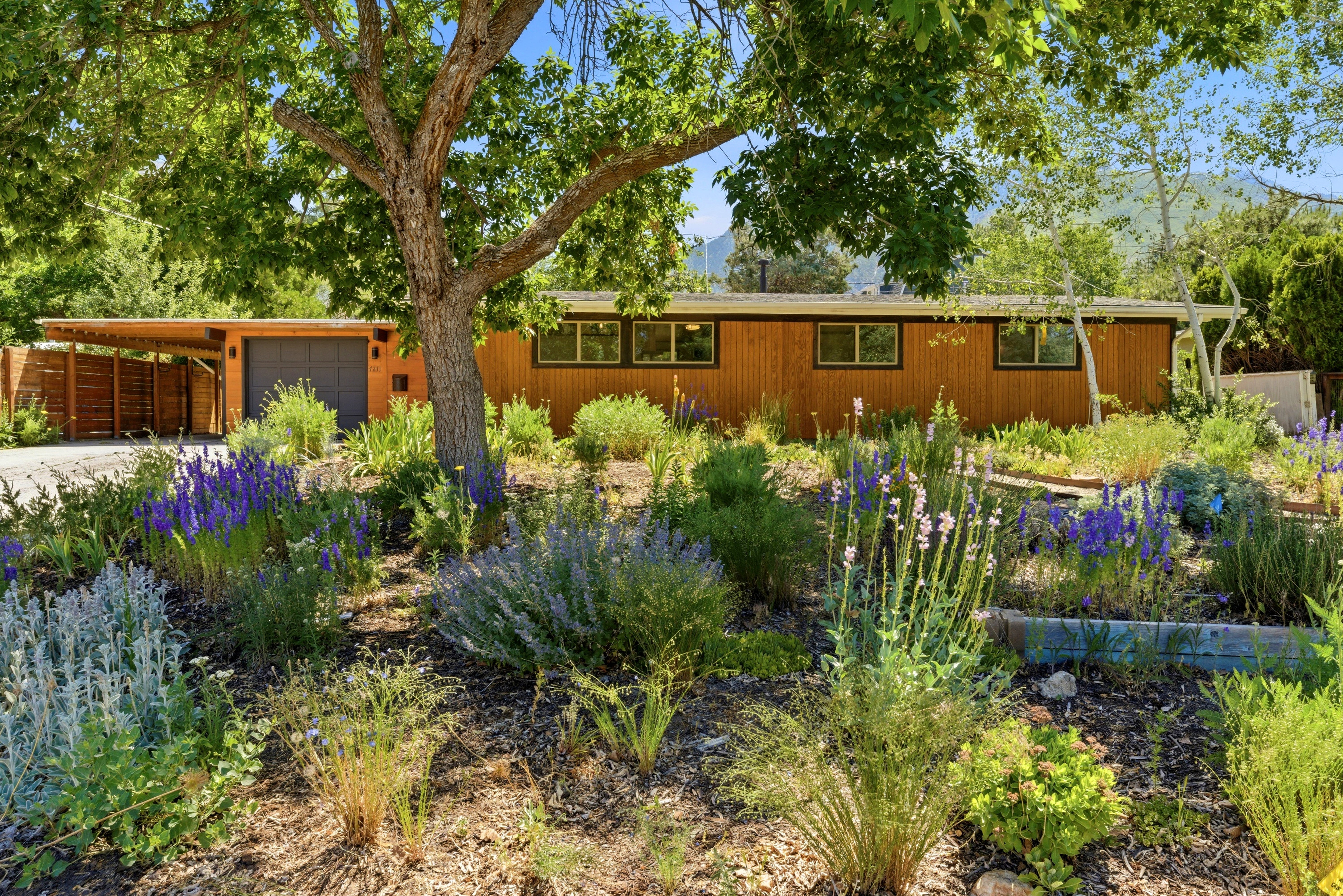 Single-story residence featuring wood panel siding and dark trim windows