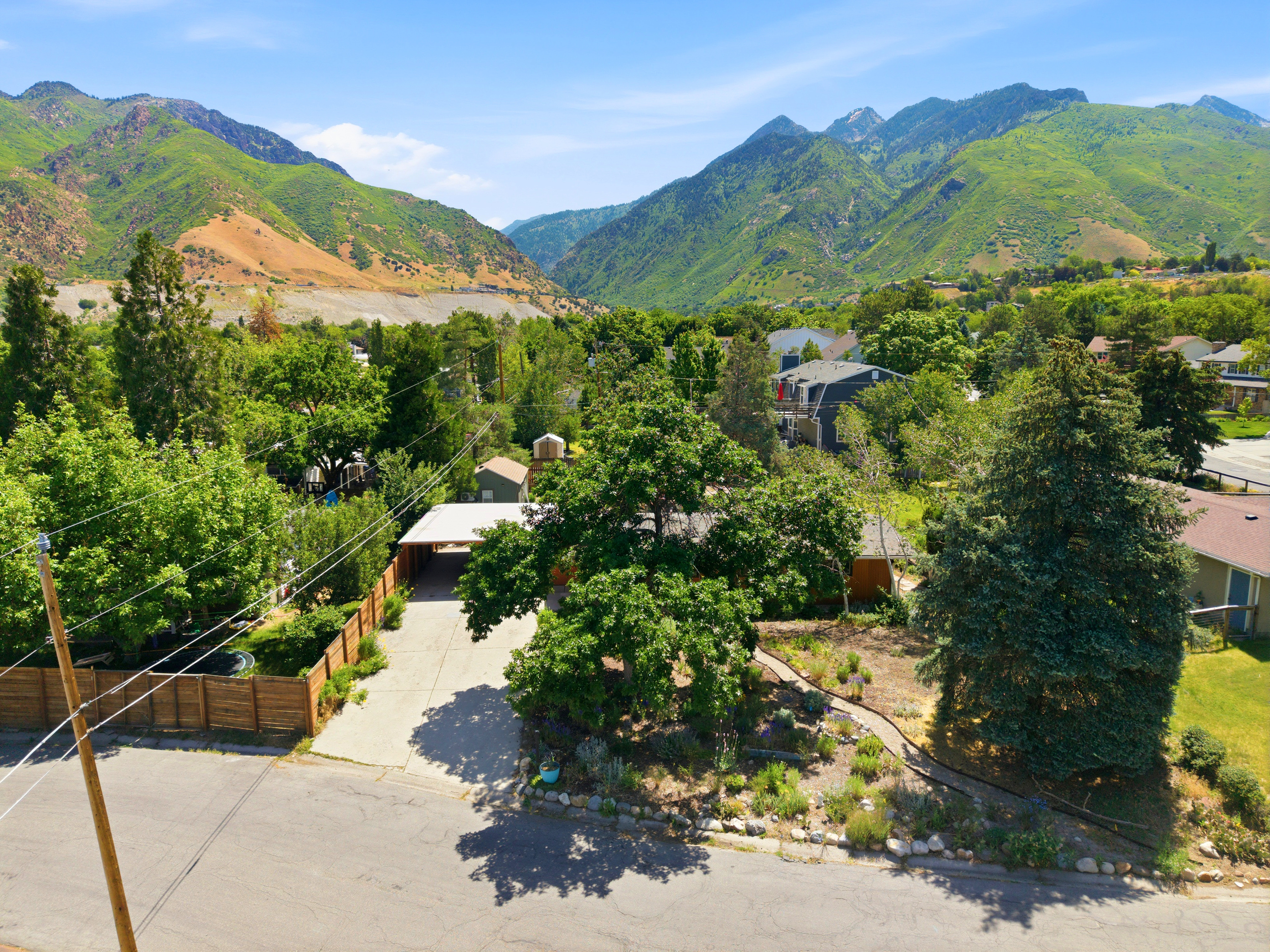 Mountain landscape, mature trees, and a residential street with a paved driveway
