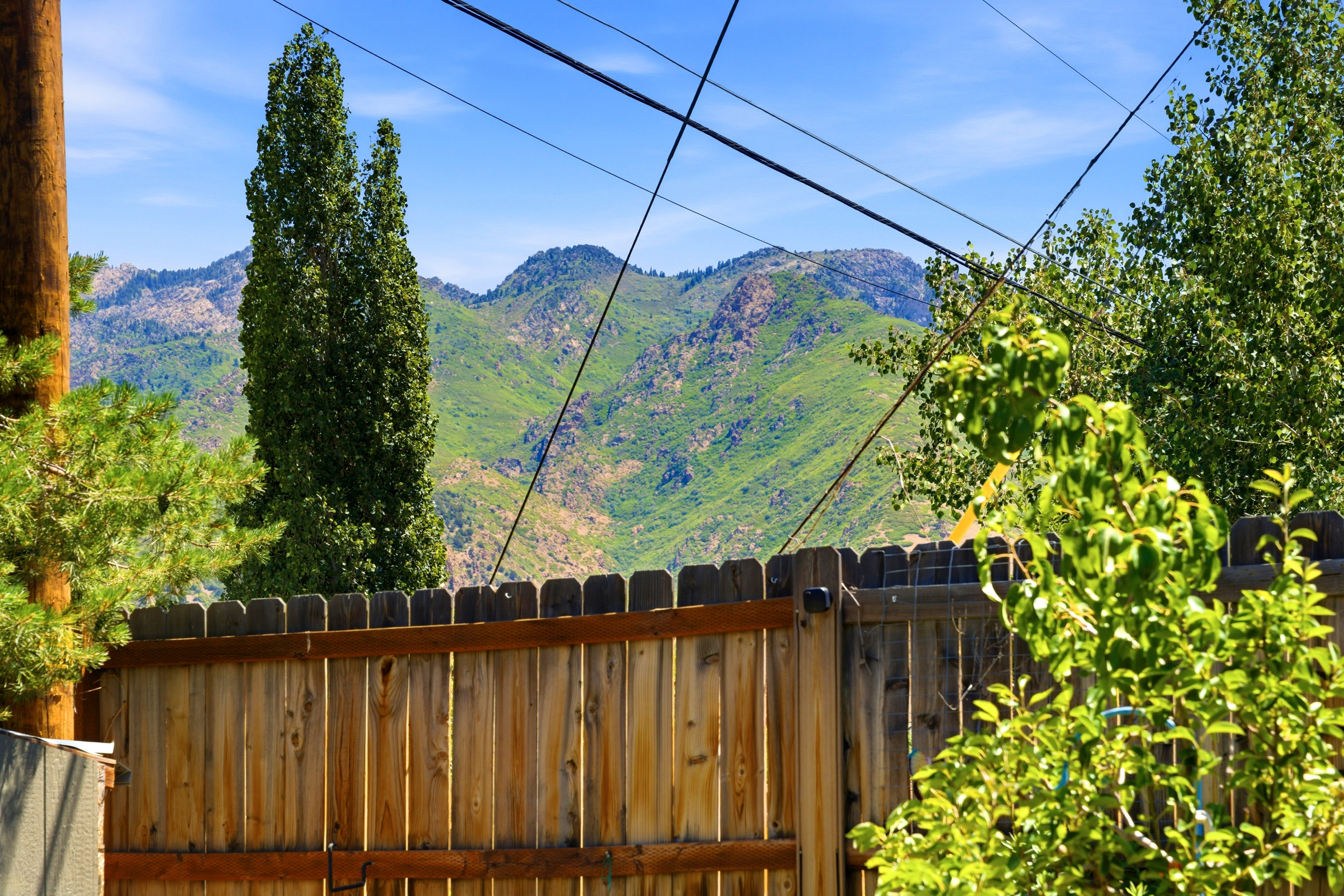 Privacy fencing with a mountain backdrop