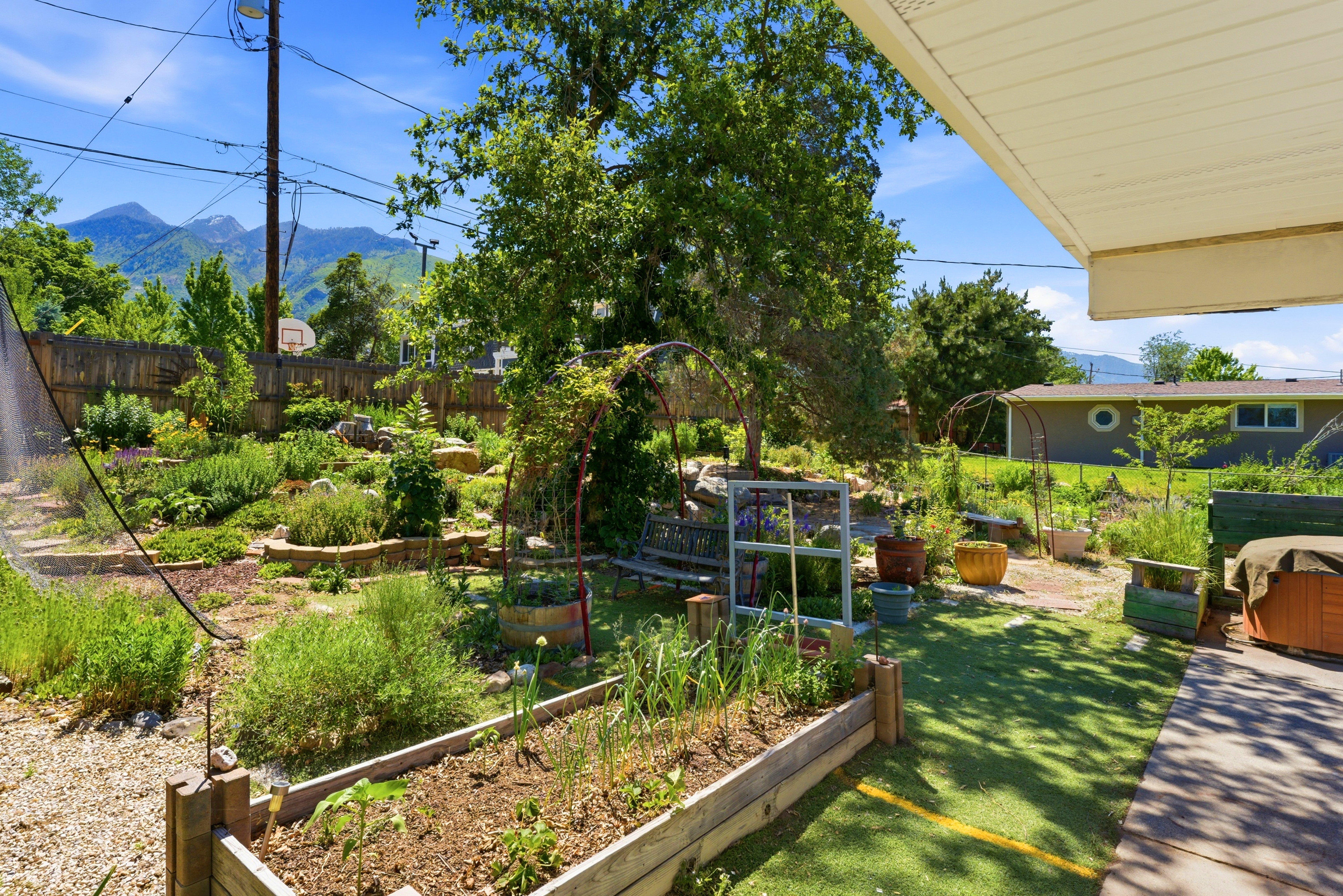 Terraced backyard garden featuring raised planter beds, mature trees, a gravel path, and mountain scenery