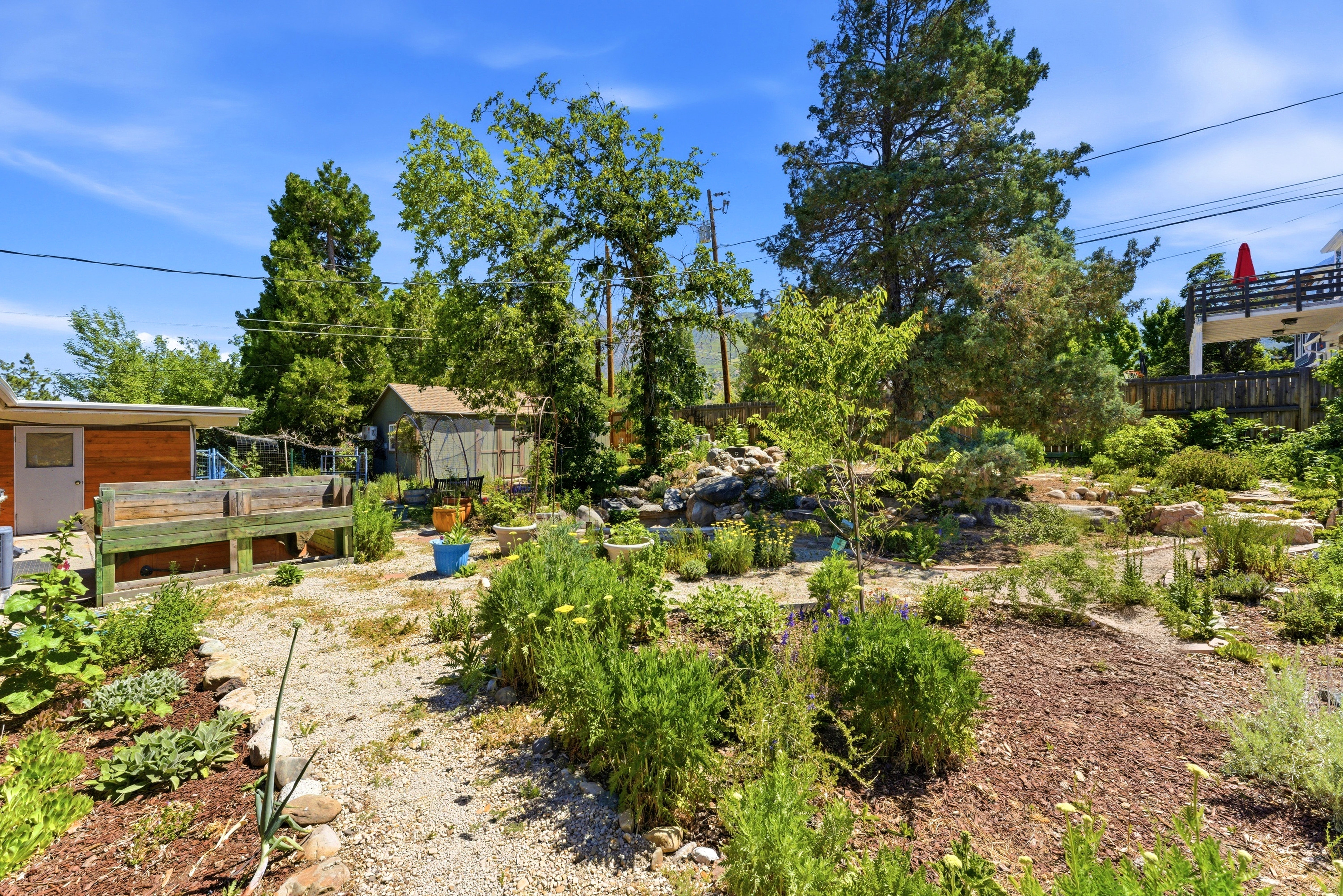 Terraced backyard featuring diverse plantings, gravel pathways, and mature trees
