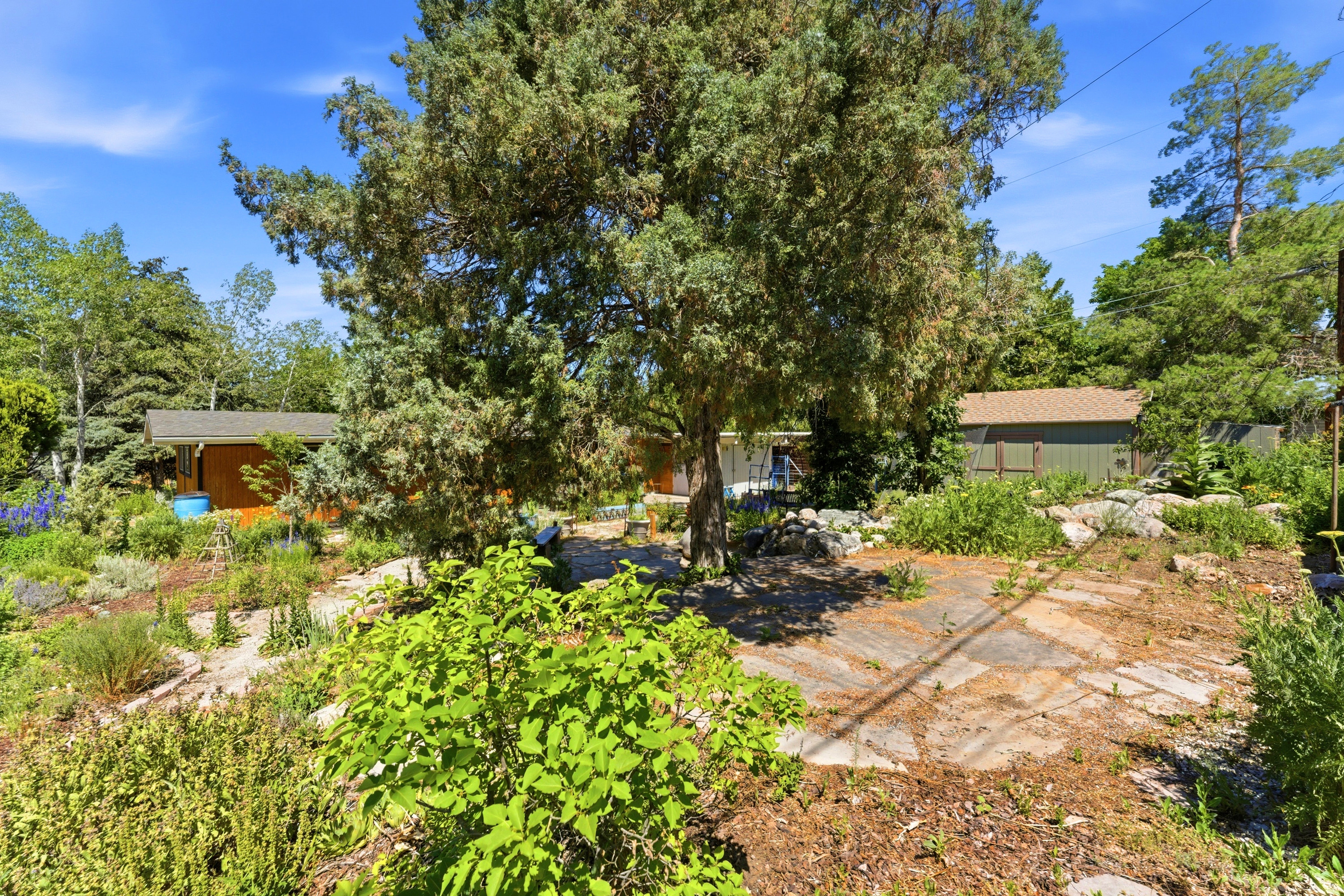 Expansive outdoor area featuring mature trees and established plantings
