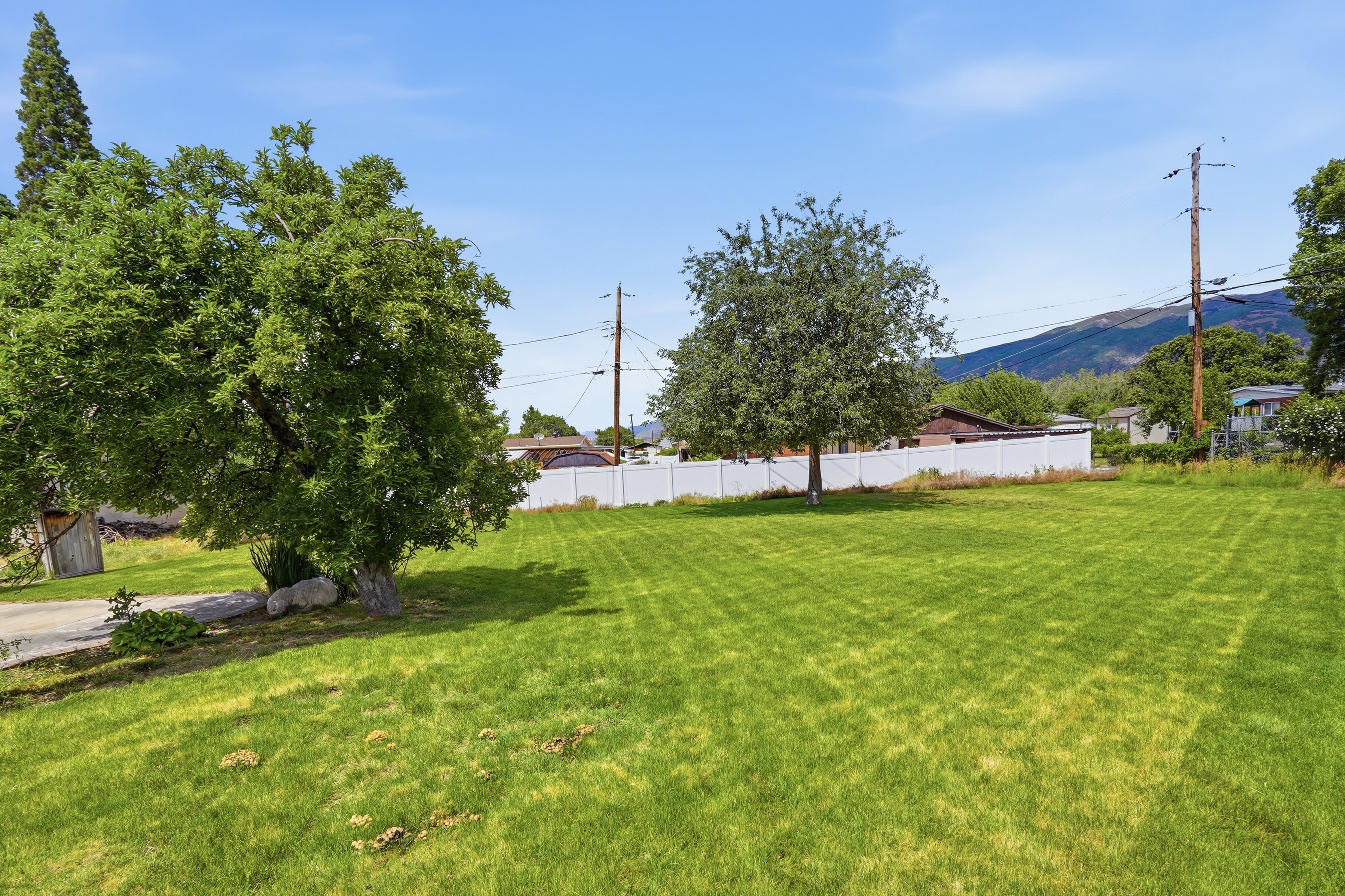 Expansive green lawn with mature trees and a white privacy fence