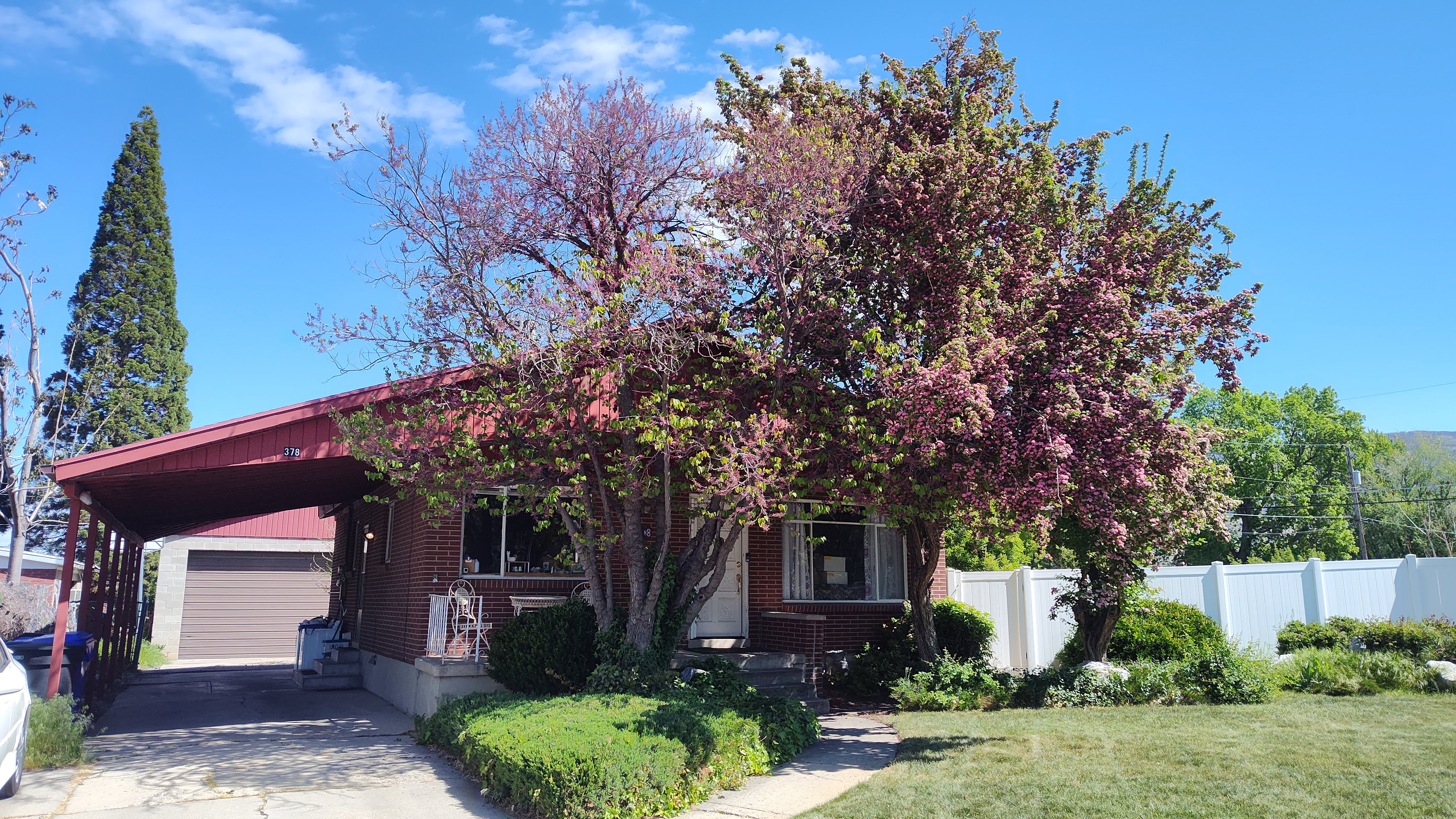 Brick exterior residence featuring a carport, mature trees, and a front lawn