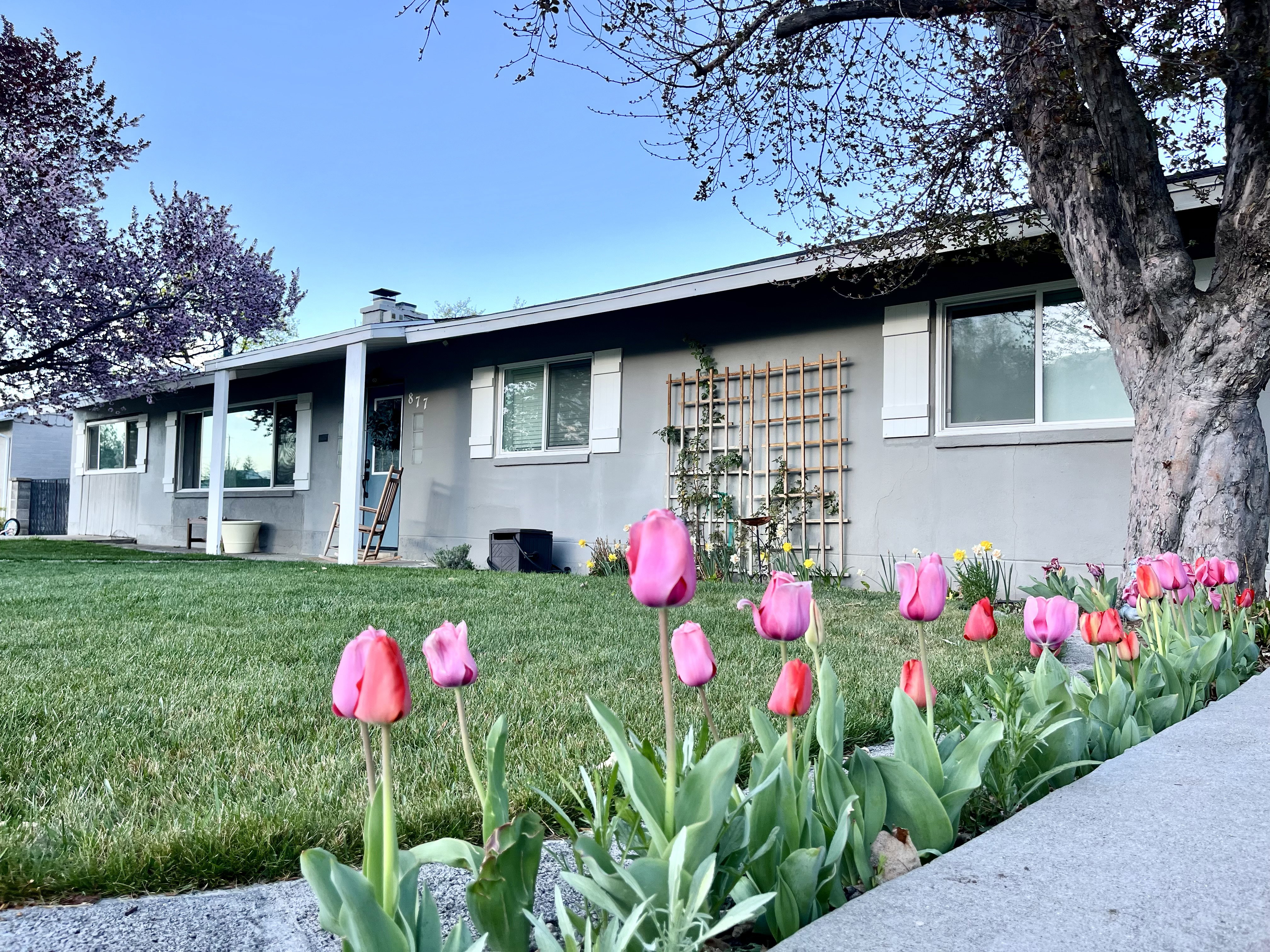 Gray exterior with white trim and shutters