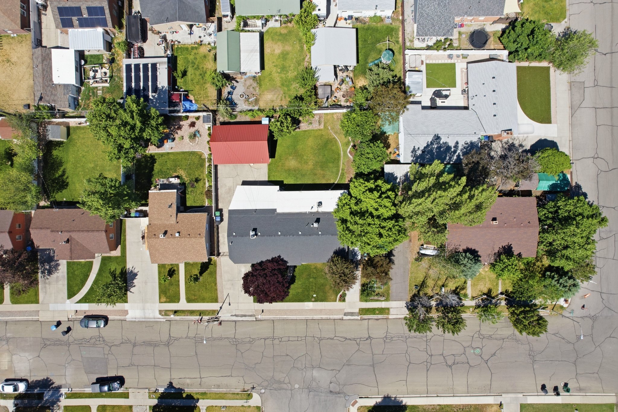 Single-story residence with a brown shingle roof, established front yard landscaping, and a concrete driveway