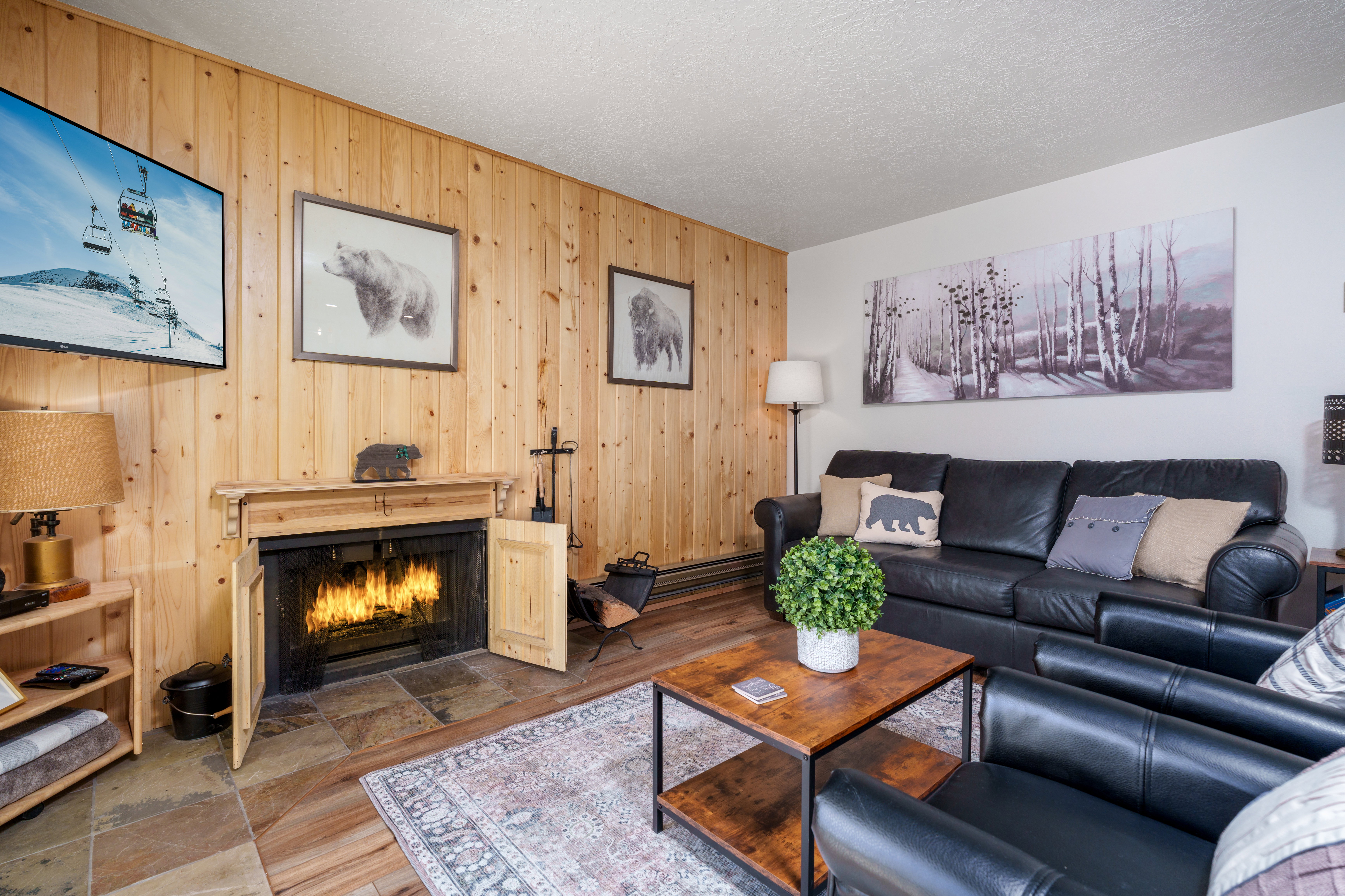 Pull out couch for additional sleeping space