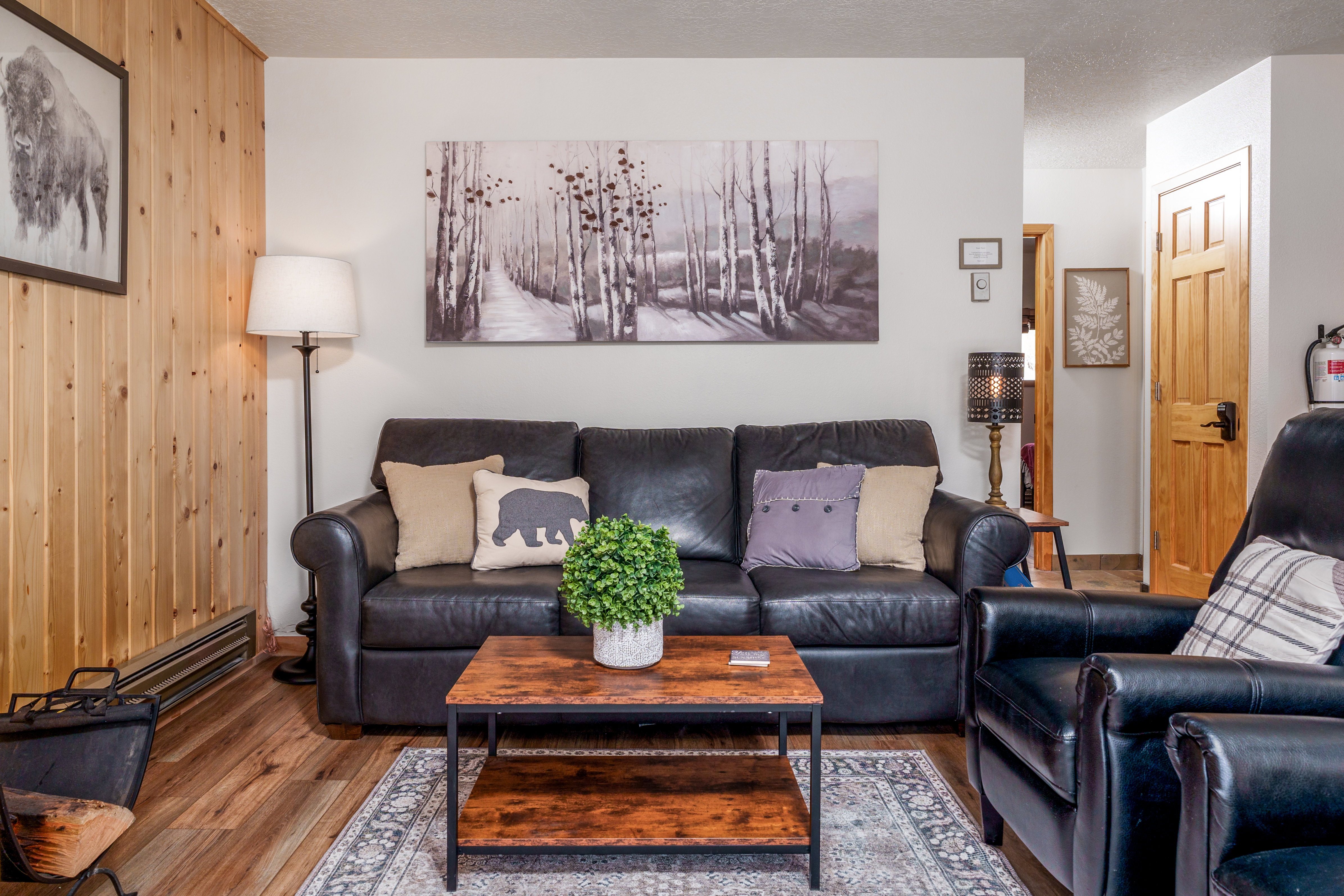 Cozy room for all