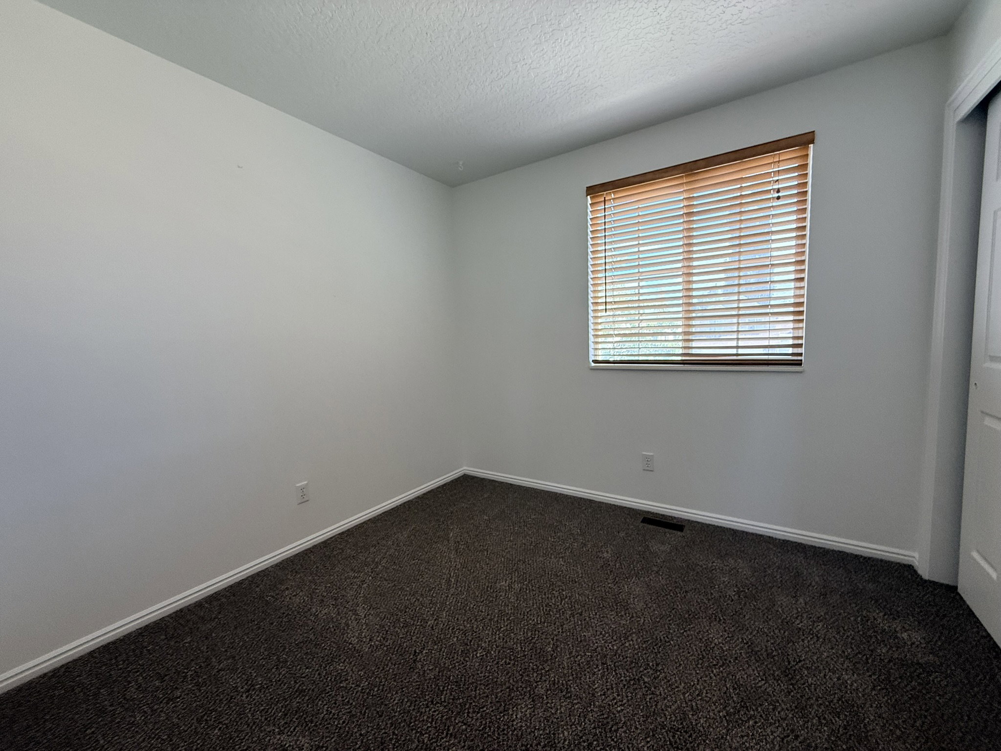 Neutral interior room featuring a window with wood-finish blinds, textured dark carpeting, and light-toned walls
