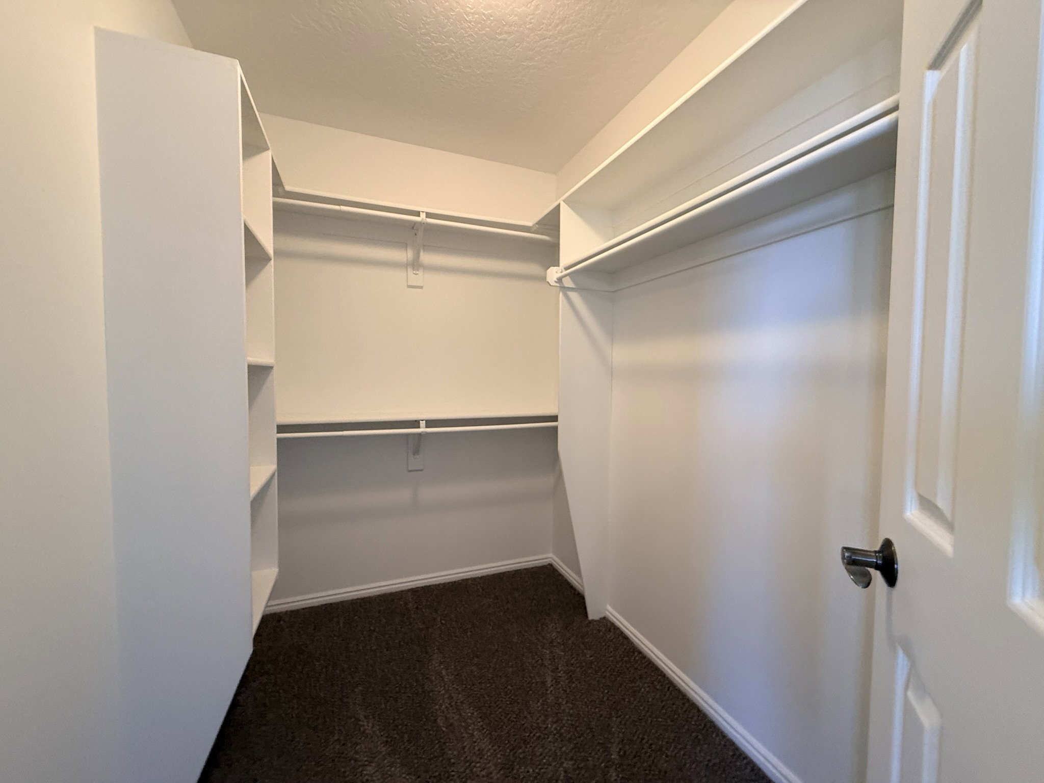 Walk-in closet featuring built-in shelving, dual hanging rods, and dark carpeting