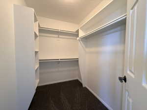 Walk-in closet featuring built-in shelving, dual hanging rods, and dark carpeting