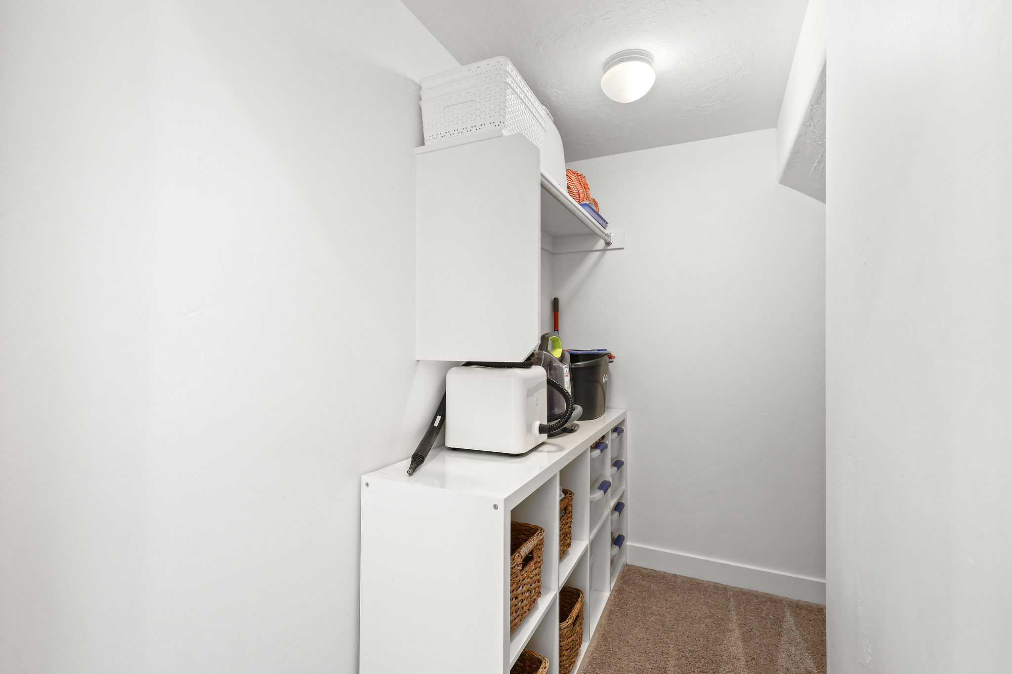Compact storage area featuring built-in shelving, white walls, and carpet flooring