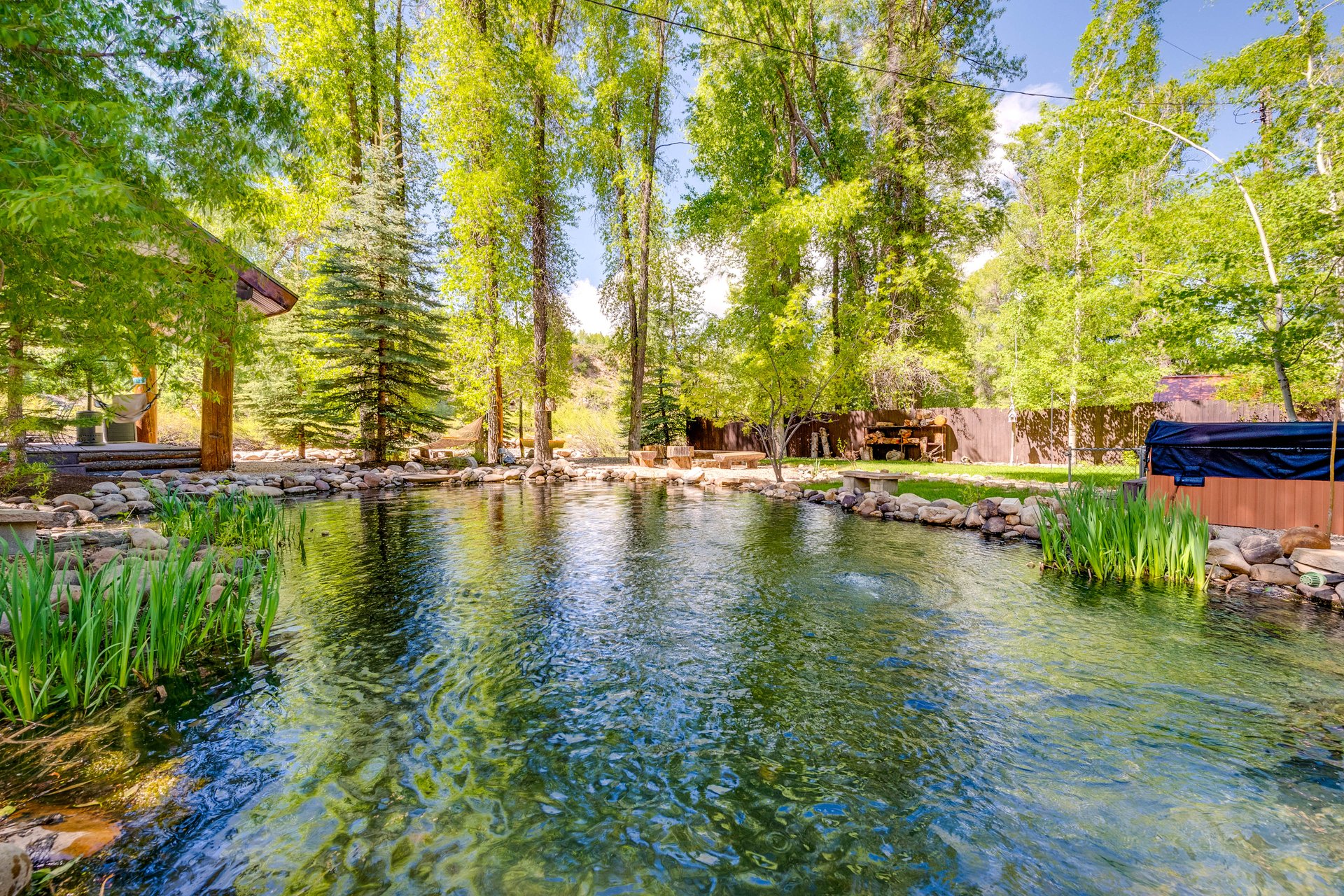 Expansive backyard featuring a serene pond with rock edging and established aquatic plantings