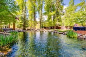 Expansive backyard featuring a serene pond with rock edging and established aquatic plantings