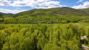 Expansive natural landscape with verdant trees and a distant mountain backdrop