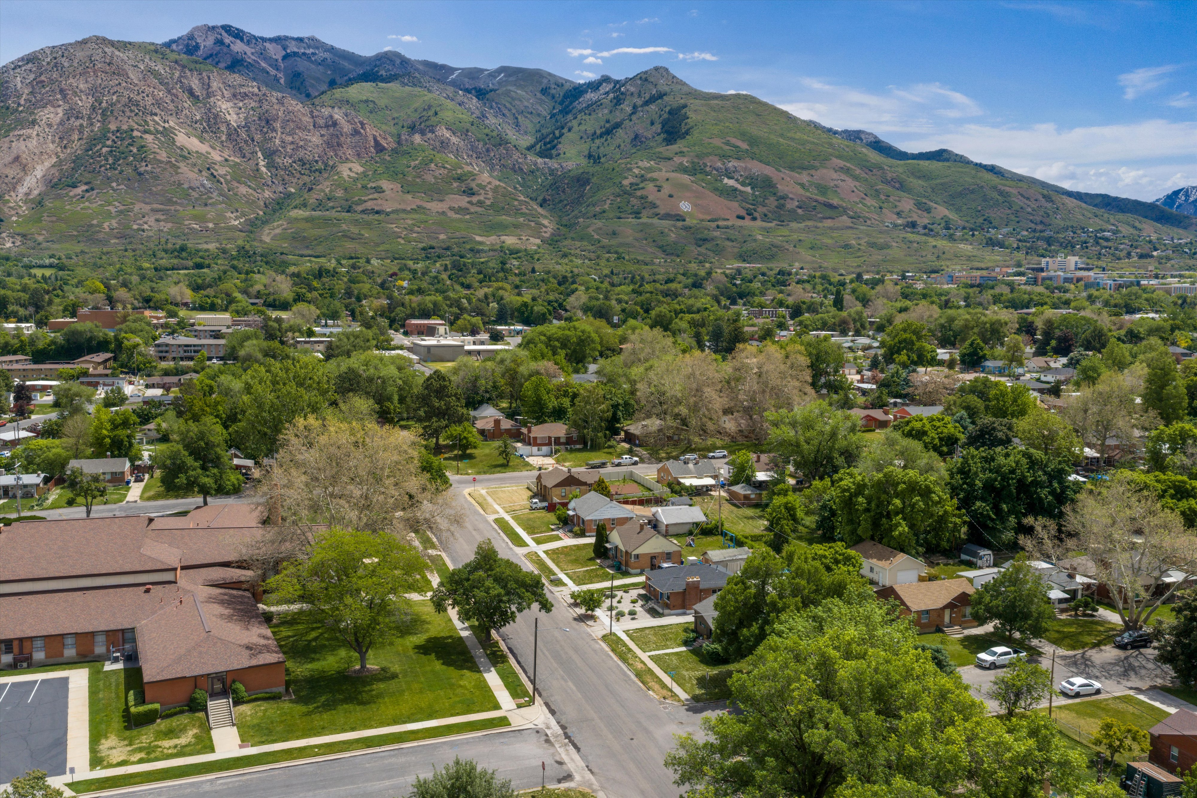Expansive neighborhood with mature tree coverage and mountainous backdrop