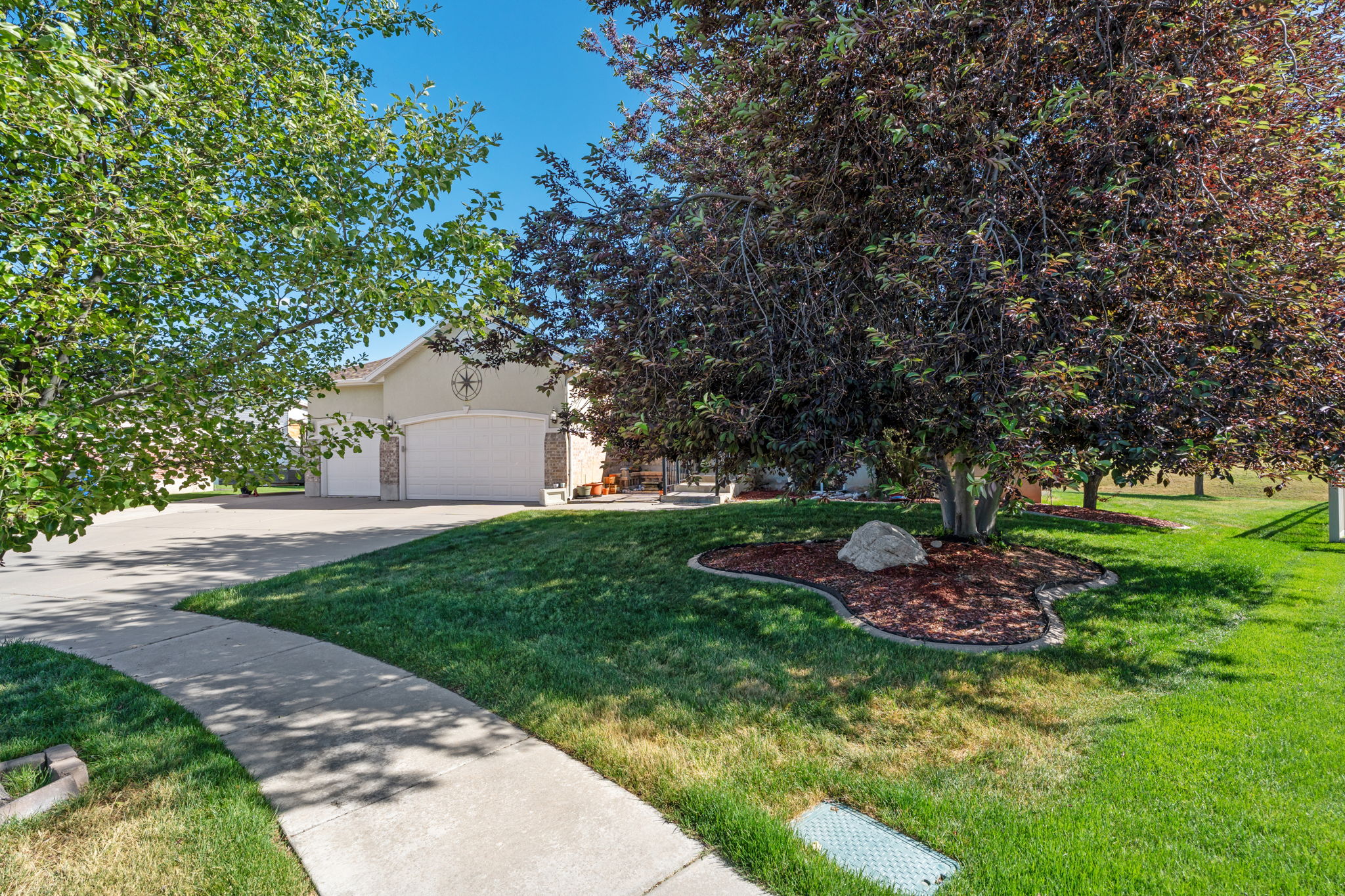 Expansive front yard featuring a concrete pathway, manicured lawn, and mature trees
