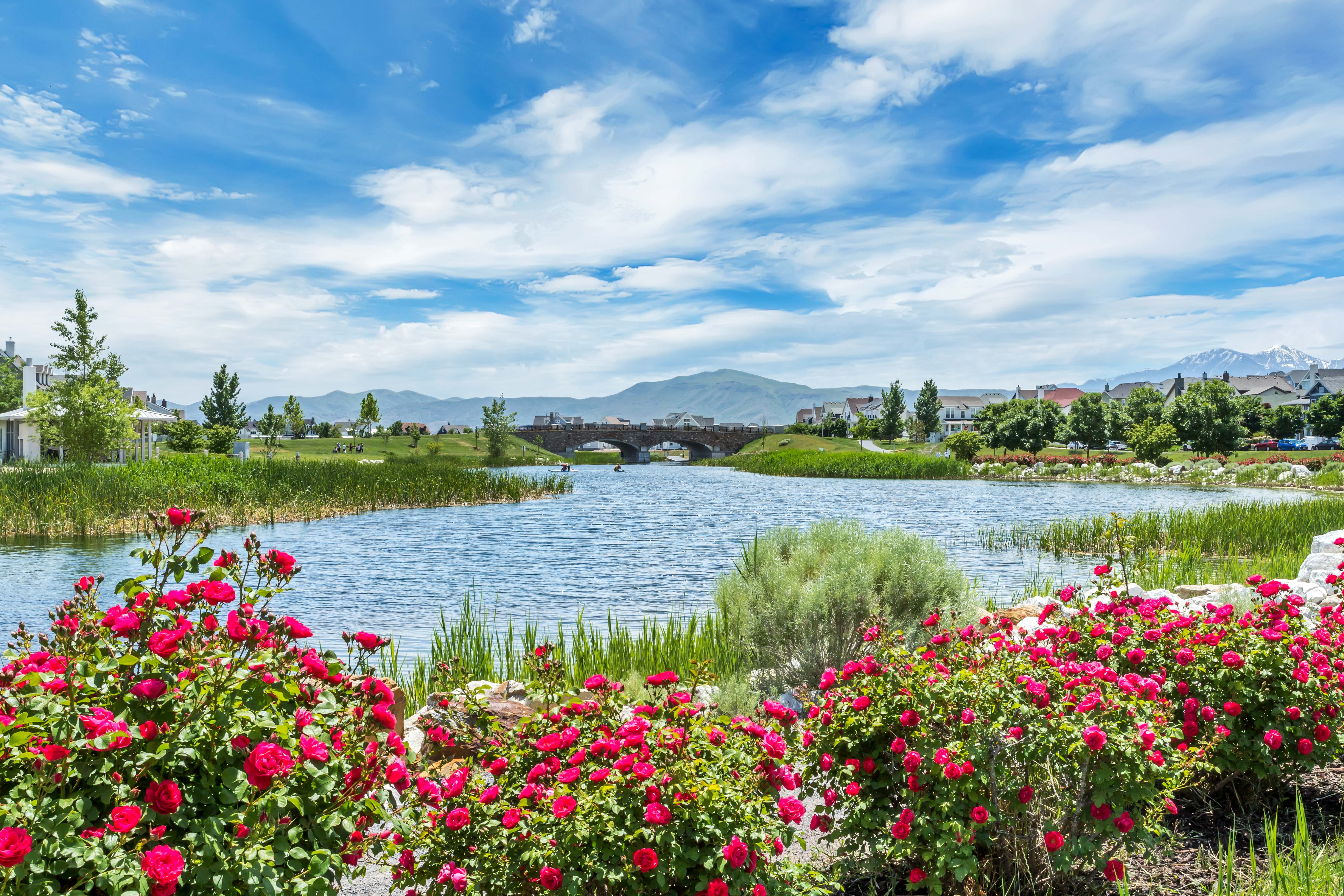 Scenic waterfront setting featuring mature rose bushes, a tranquil pond, distant mountains, and a stone arch bridge